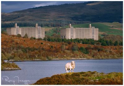 Trawsfynydd Nuclear power station