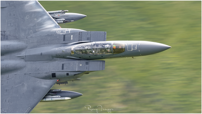 hawk2.png