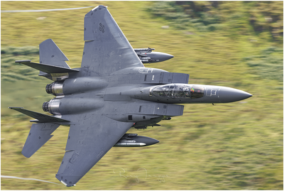 hawk3.png