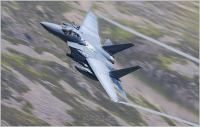F15.png