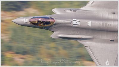 Gator flight  tail 5616