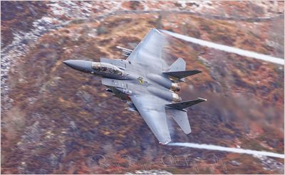 Single F15-Wasp flight.jpg