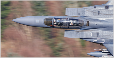 f15-bluebell3.png