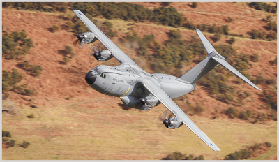 A400-bluebell.png