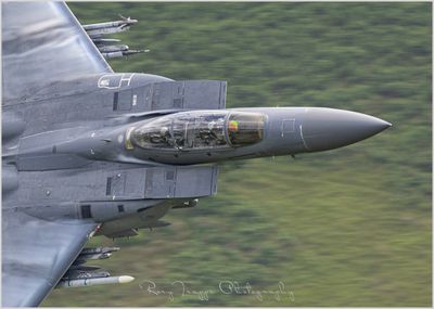 Eagle4-firstpass.jpg