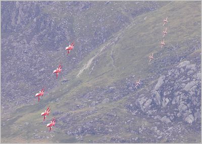 red1.jpg