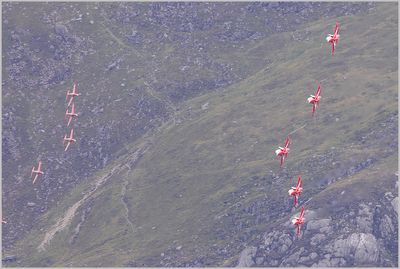 red2.jpg