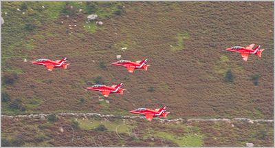 red6.jpg