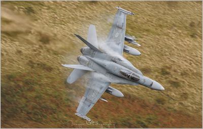 RCAF.jpg