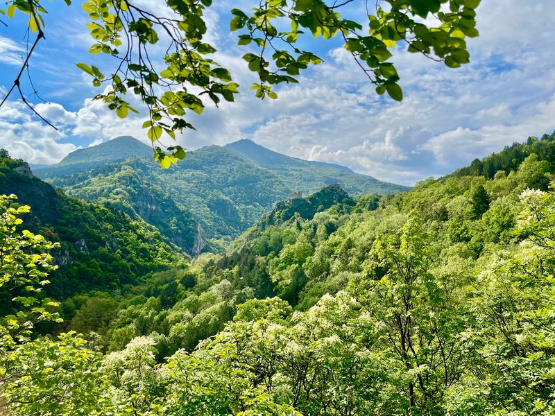 Rhodope Mountains