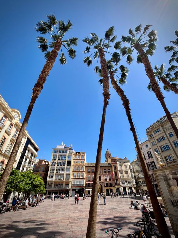 Plaza de la Constitucin
