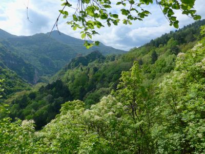 Rhodope Mountains