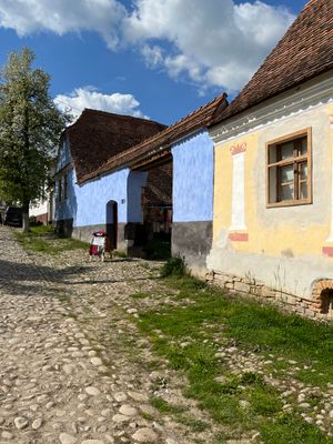 IMG_5999.jpeg