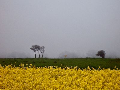 Longues-sur-Mer