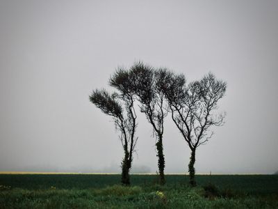 Longues-sur-Mer