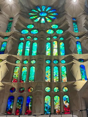 IMG_6424.jpeg