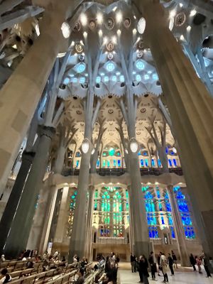 IMG_6433.jpeg