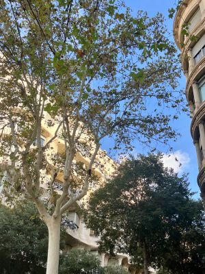 ‎⁨La Pedrera