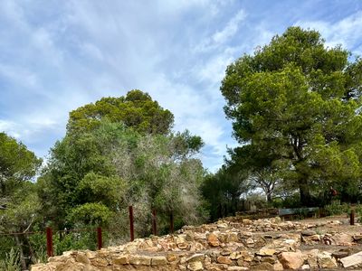 Sant Sebasti de la Guarda
