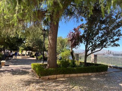 IMG_8569.jpeg