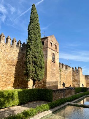 Puerta de Almodvar