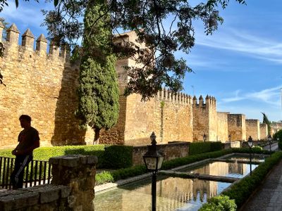 Puerta de Almodvar