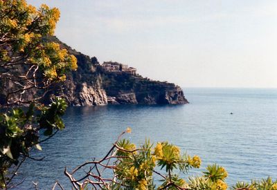 Manarola