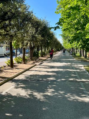 IMG_0128.jpeg