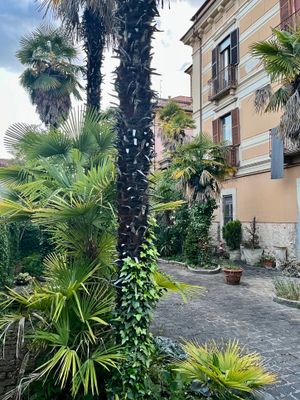 IMG_0514.jpeg