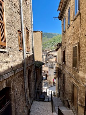 IMG_0187.jpeg