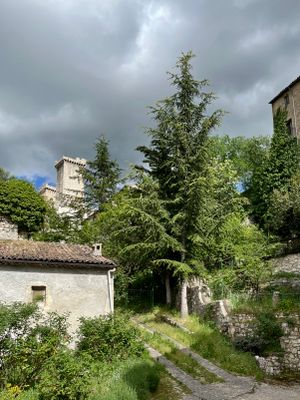 IMG_0586.jpeg