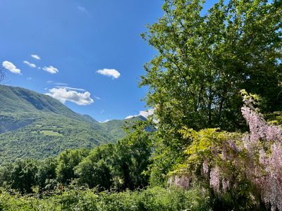 IMG_0591.jpeg