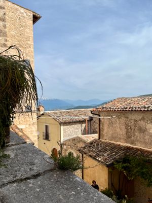 IMG_0304.jpeg