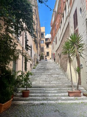 IMG_9960.jpeg
