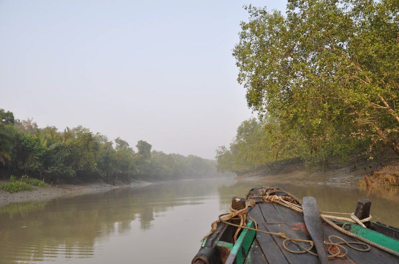Sundarban Tour in Bangladesh