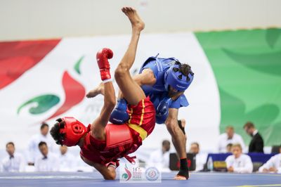 2017 World Wushu Championship - Kazan