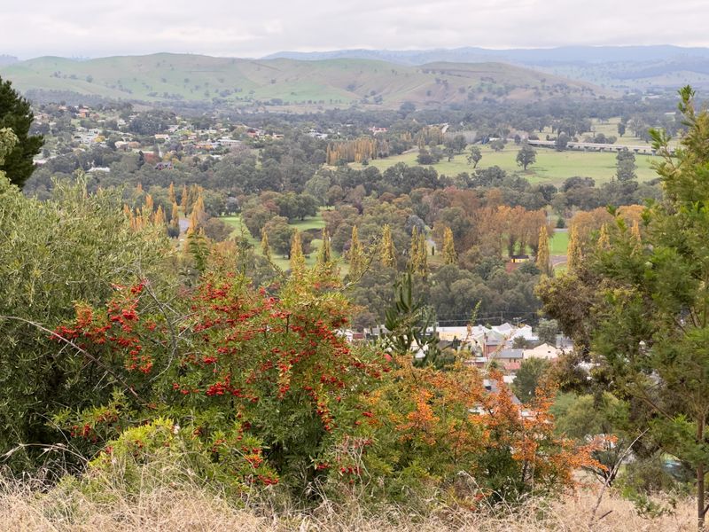 Gundagai