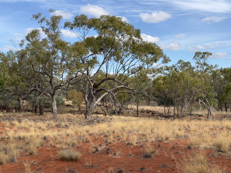 Mount Grenfell Historic Site, Cubba