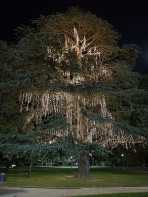 Wagga Wagga - Victory Memorial Gardens