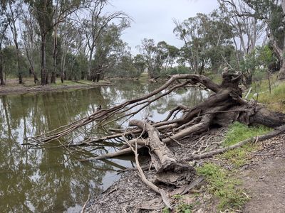 Murrumbidgee Valley National Park