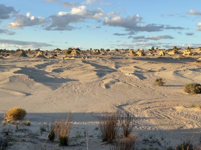 Lake Mungo - Lunettes