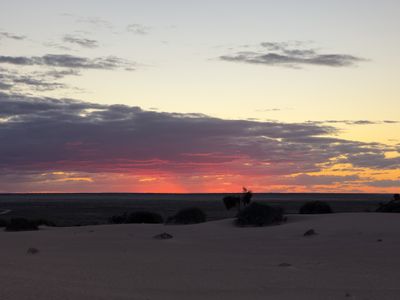 Lake Mungo
