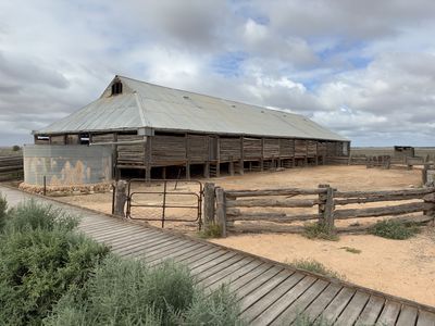 Mungo Woolshed