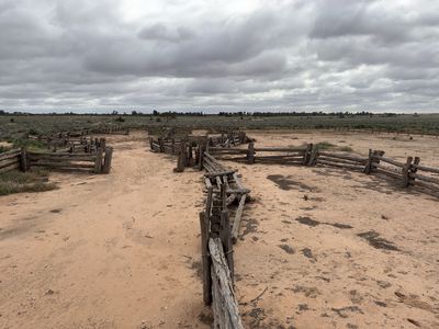 Mungo Woolshed