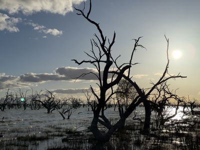 Lake Cawndilla, Kinchega NP, Menindee