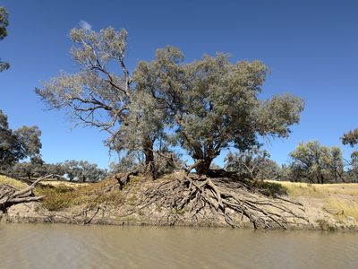 Darling River, Bourke North