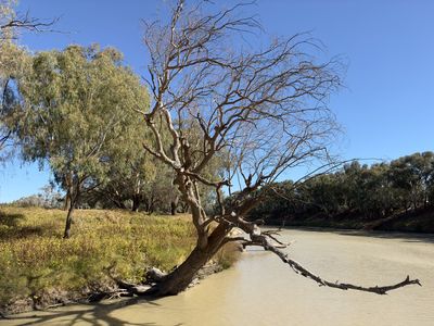 Darling River, Bourke North
