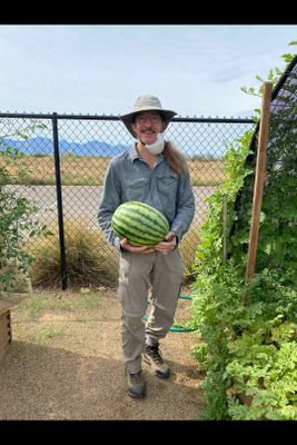 Hopi Yellow Watermelon (5).jpg