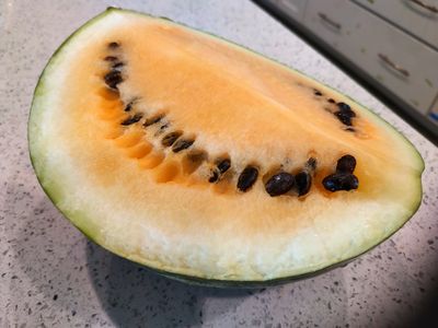 Hopi Yellow Watermelon (7).jpg