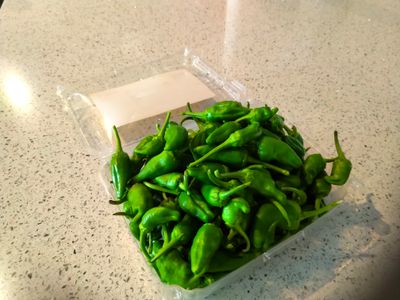 Spanish Padron Tapas Pepper.jpg